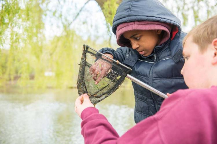Pond Dipping